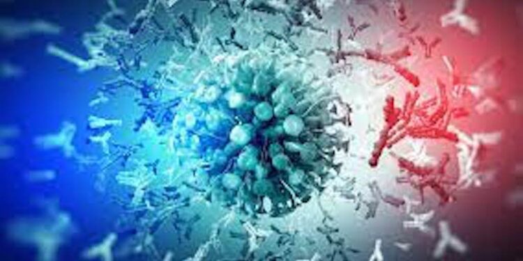 Finale du Concours national de débat sur la Covid-19