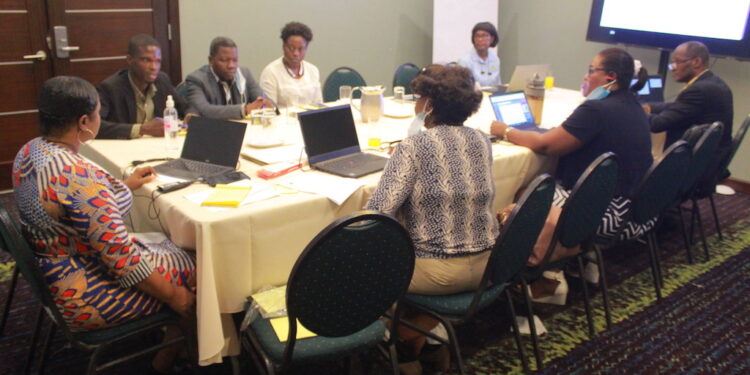 Programme national de lutte contre la malaria : rencontre préparatoire de l’UCMIT et le RHJS