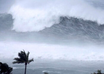 Ouverture de la saison cyclonique 2022