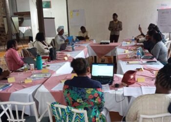 Atelier à Kenskoff du ministère de la Santé publique sur le lait maternel