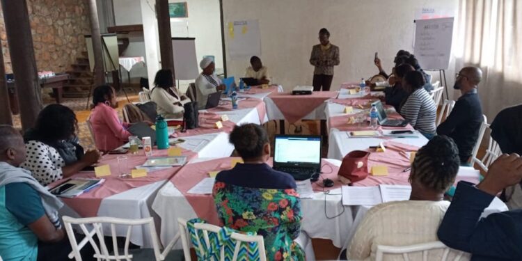 Atelier à Kenskoff du ministère de la Santé publique sur le lait maternel
