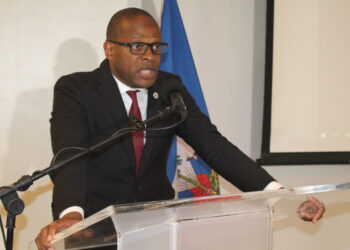 Grandes lignes des idées du premier vice-président du bureau du CCM-Haïti, Dr Christian Mouala