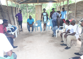 Visite à Dos Latanier