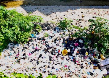 Situation alarmante des déplacés au Lycée des Jeunes Filles