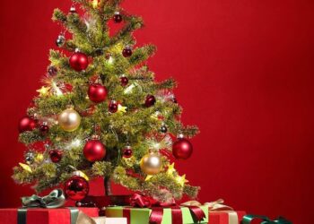 Célébrons la Noël dans l’être-ensemble et le bien-être