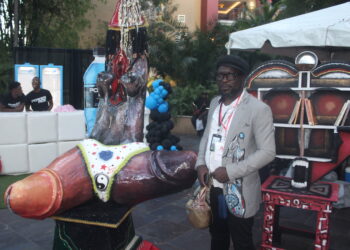 Nouvelle naissance de David Thébaud