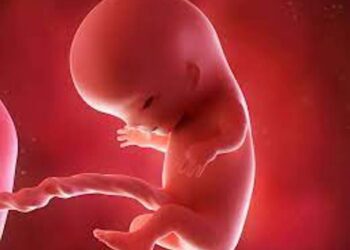 VIH: la PTME sauve des vies à l’hôpital des enfants de Saint Damien