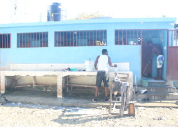 À bout de cette promiscuité vecteur de choléra