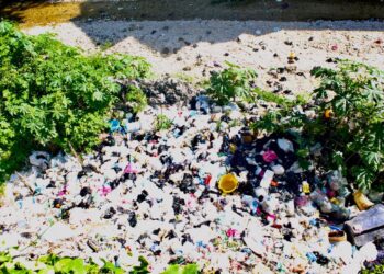 Le prix à payer pour déféquer au camp de déplacés du lycée des Jeunes Filles