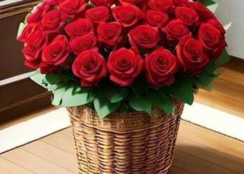 L’Association médicale haïtienne a soufflé ses 76 bougies