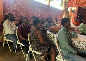 Formation de journalistes et influenceurs dans le département du Sud sur la violence sexuelle et la PF à l’initiative du RHJS