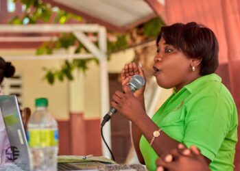 Gros plan sur la Constitution haïtienne de 1987